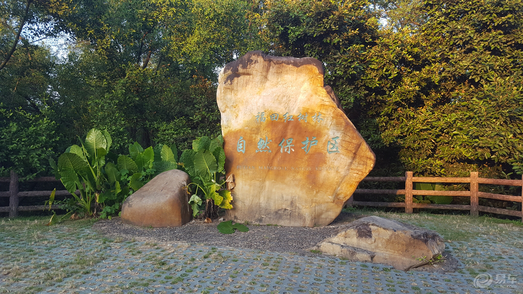 福田红树林自然保护区