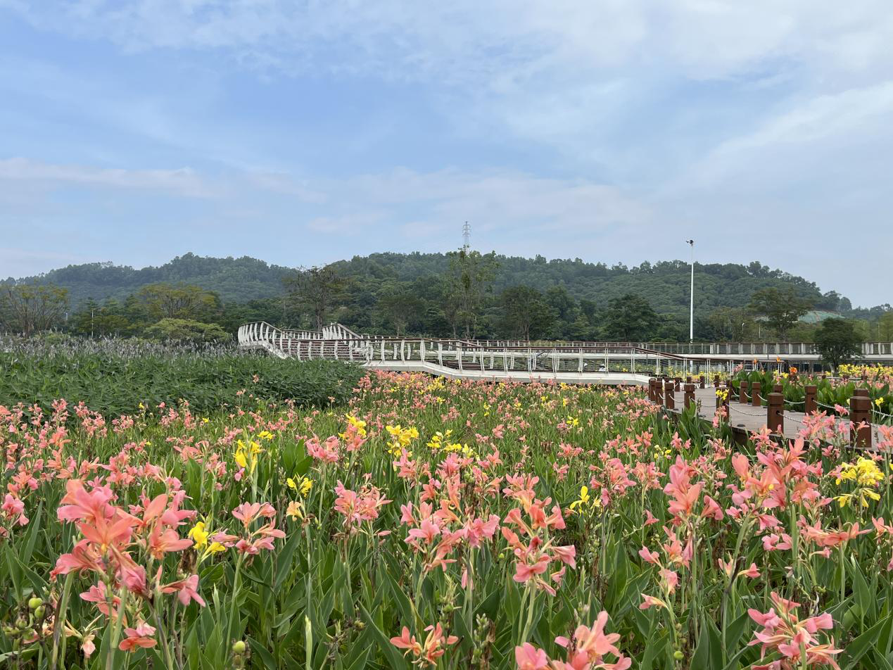 楼村湿地公园