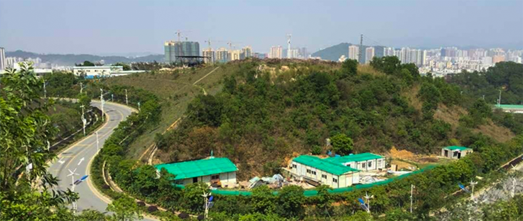 福田红树林生态公园
